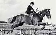 Lady Margaret Fortescue | Horses, Beautiful horses, Horseback riding
