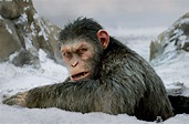 Kinokritik zu Planet der Affen: Survival: Der letzte Kampf