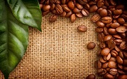 Coffee beans green leaves wallpaper | 2880x1800 | #24105
