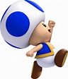 Blue Toad - Mario Photo (38913624) - Fanpop