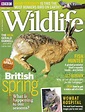 《BBC Wildlife 野生动物》杂志订阅|2024年期刊杂志|欢迎订阅杂志