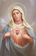 Immaculate Heart of Mary - Communio