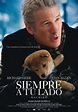 It's all about books: Siempre a tu lado, Hachiko