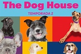 The dog house (Programa de TV) | SincroGuia TV