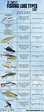 The Ultimate Fishing Lure Types Chart - Fish and Game Report