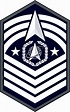 Military Rank First Sergeant Master Sergeant United States Army Png ...