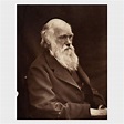 LEONARD DARWIN (1850-1943) Portrait of Charles Darwin. | Swann ...