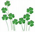 Shamrock PNG transparent image download, size: 2500x2338px