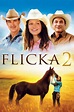 Flicka 2 DVD Release Date May 10, 2011