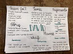 Mapa Mental De David Hume: Una Guía Definitiva - AFM