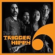 Trigger Hippy: Full Circle And Then Some | Country.de - Online Magazin