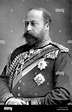 EDWARD VII (1841-1910) as Prince of Wales about 1890 Stock Photo - Alamy