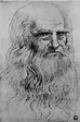 Leonardo da Vinci | Dibujos de da vinci, Obras de arte famosas ...