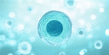 First Single Cell Expression resource at EMBL-EBI | European ...