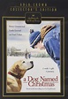 A Dog Named Christmas DVD (Hallmark Hall of Fame): Amazon.co.uk: DVD ...