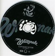 Musicotherapia: Whitesnake - Lovehunter (1979)