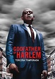 El padrino de Harlem temporada 3 - Ver todos los episodios online