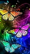 Cool Butterfly Wallpapers - Top Free Cool Butterfly Backgrounds ...