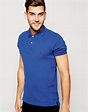 Tommy hilfiger Polo Shirt With Contrast Under Collar Slim Fit in Blue ...