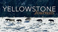 Watch Yellowstone Journals Series & Episodes Online