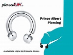 Prince Albert Piercing, Circular Barbell Ring Horseshoe Piercings for ...