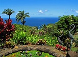 16 Gorgeous Gardens In Hawaii You'll Love To Explore