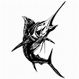 swordfish and sailfish vector eps - Download Free Vectors, Clipart ...