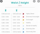 Waist to Height Ratio Calculator / WHtR Calculator - Calculator Academy