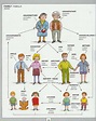 family tree | vocabulary | picture dictionary | brain-perks