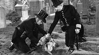 Ver El desafío de Lassie (1949) Películas Online Latino - Cuevana HD