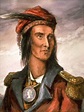 Tecumseh for sale in UK | 59 used Tecumsehs