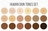 Human skin tone color palette set. ~ Illustrations ~ Creative Market