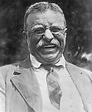 Portraits: Theodore Roosevelt | MowryJournal.com