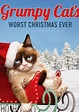 Grumpy Cat’s Worst Christmas Ever - film 2014 - AlloCiné