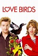 ‎Love Birds (2011) directed by Paul Murphy • Reviews, film + cast ...