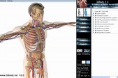 Interactive human anatomy model :: preachenlimju