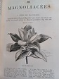 Histoire des plantes. Dessins de Faguet. by BAILLON Henri Ernest ...