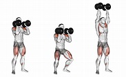 Dumbbell Push Press: Benefits, Muscles Worked, and More - Inspire US