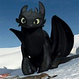 Chimuelo | Wiki | DreamWorks Dragons Amino Amino