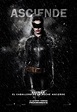 El caballero oscuro: La leyenda renace (The Dark Knight Rises) (2012 ...