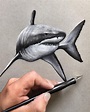 Great White Shark Drawings In Pencil