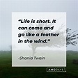 72 Quotes about the Wind to Help You Decide Which Way to Blow