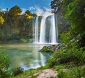 the-whangarei-falls-northland-new-zealand - Unique Holiday Tours
