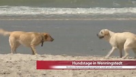 Hundstage in Wenningstedt vom 03. bis 08. November 2013 - YouTube