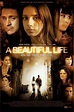 A Beautiful Life (2009) | The Poster Database (TPDb)