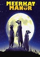 Sección visual de El reino del suricato (Serie de TV) - FilmAffinity