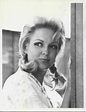 1966 Cynthia Lynn - Actress Press Photo | Hogans heroes, Actresses, Lynn