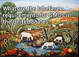 What are the labeling requirements for GMOs in the United States ...