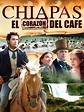 Chiapas, El Corazón Del Café | SincroGuia TV