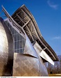 Frank O. Gehry. An Architect of Joy – igloo